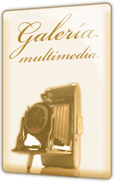 Galería Multimedia.